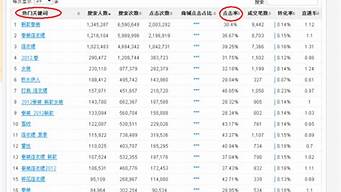 2013淘宝seo_2013淘宝行业数据分析