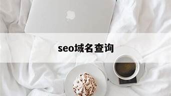 seo1是哪里的域名_seo 域名